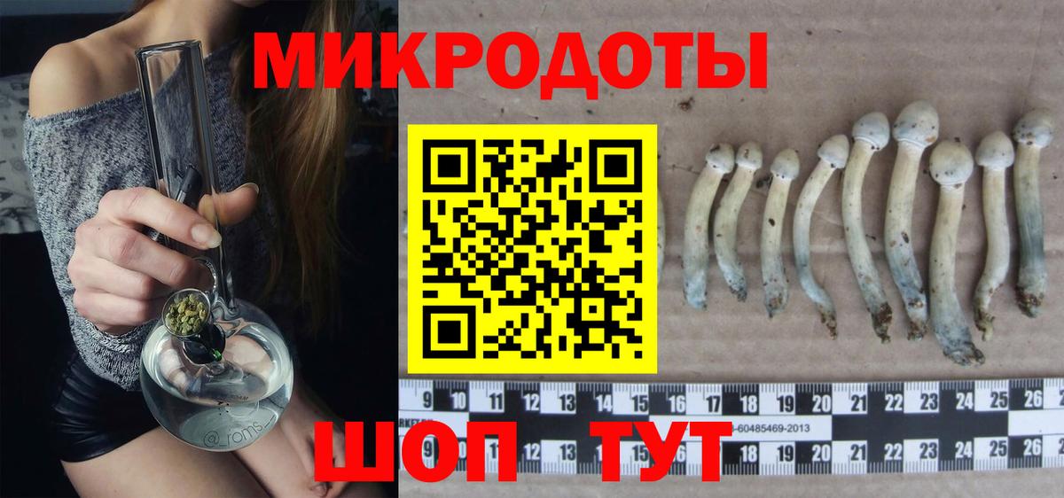 Галлюциногенные грибы прущие грибы Йошкар-Ола