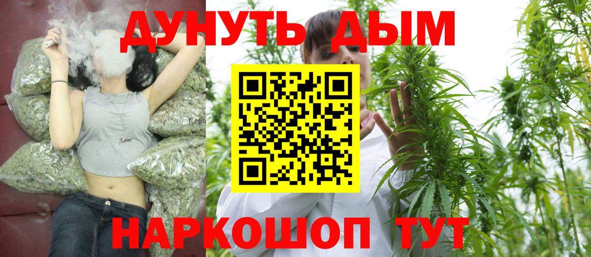 Канабис гибрид Йошкар-Ола